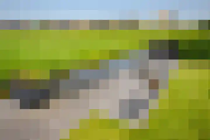 Polderlaan 17 Leimuiden thumbnail 46