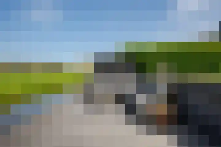 Polderlaan 17 Leimuiden thumbnail 47