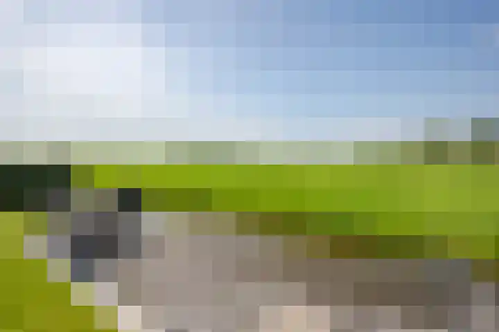 Polderlaan 17 Leimuiden thumbnail 48