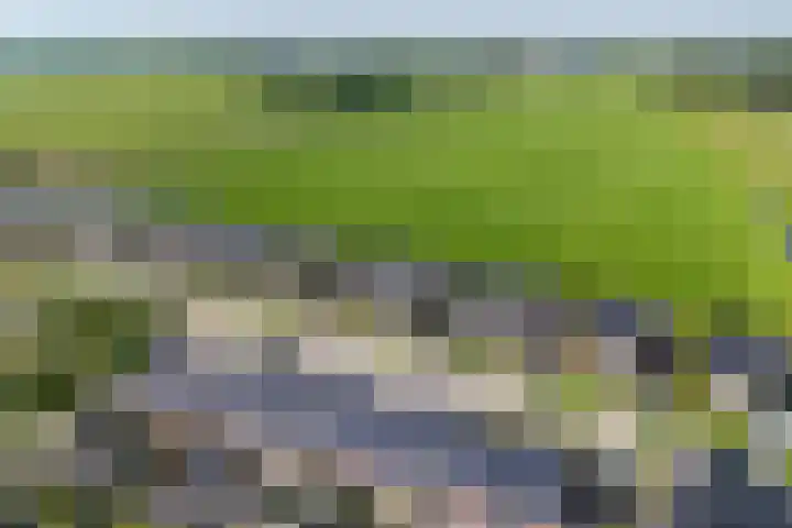 Polderlaan 17 Leimuiden thumbnail 6