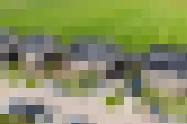 Polderlaan 17 Leimuiden thumbnail 7