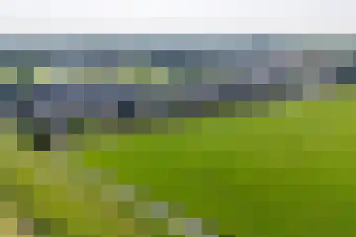 Polderlaan 17 Leimuiden thumbnail 8