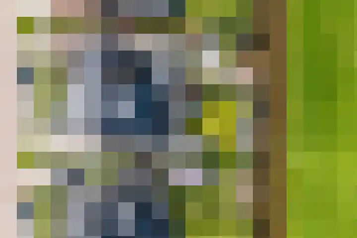 Polderlaan 17 Leimuiden thumbnail 9