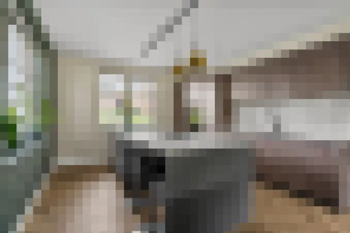 Polderlaan 178 Waddinxveen thumbnail 10