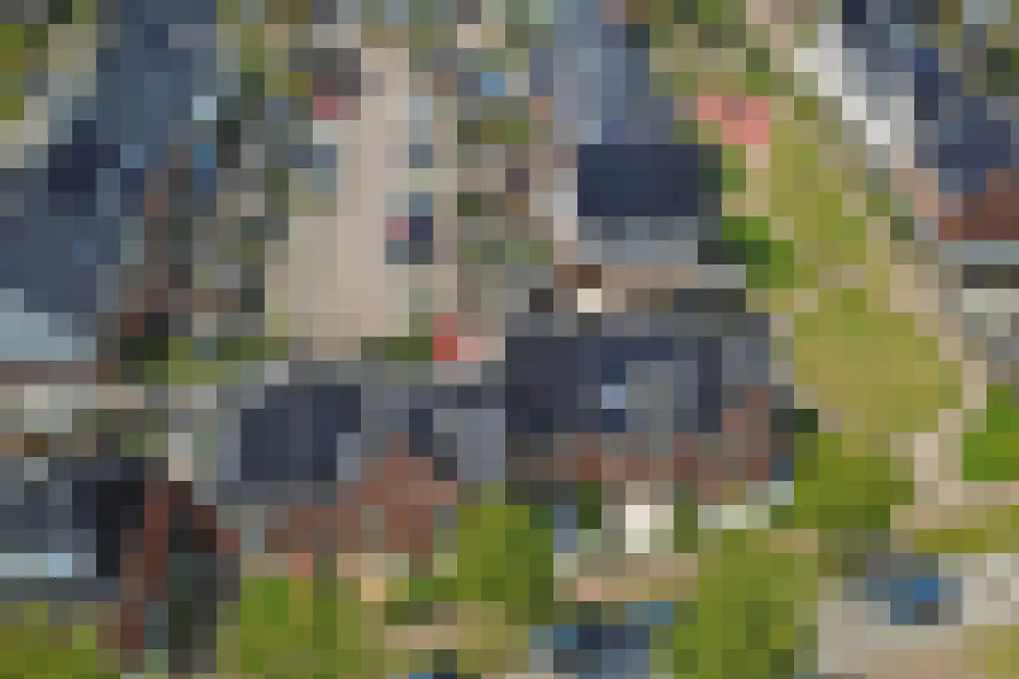 Polderlaan 181 Waddinxveen thumbnail 51