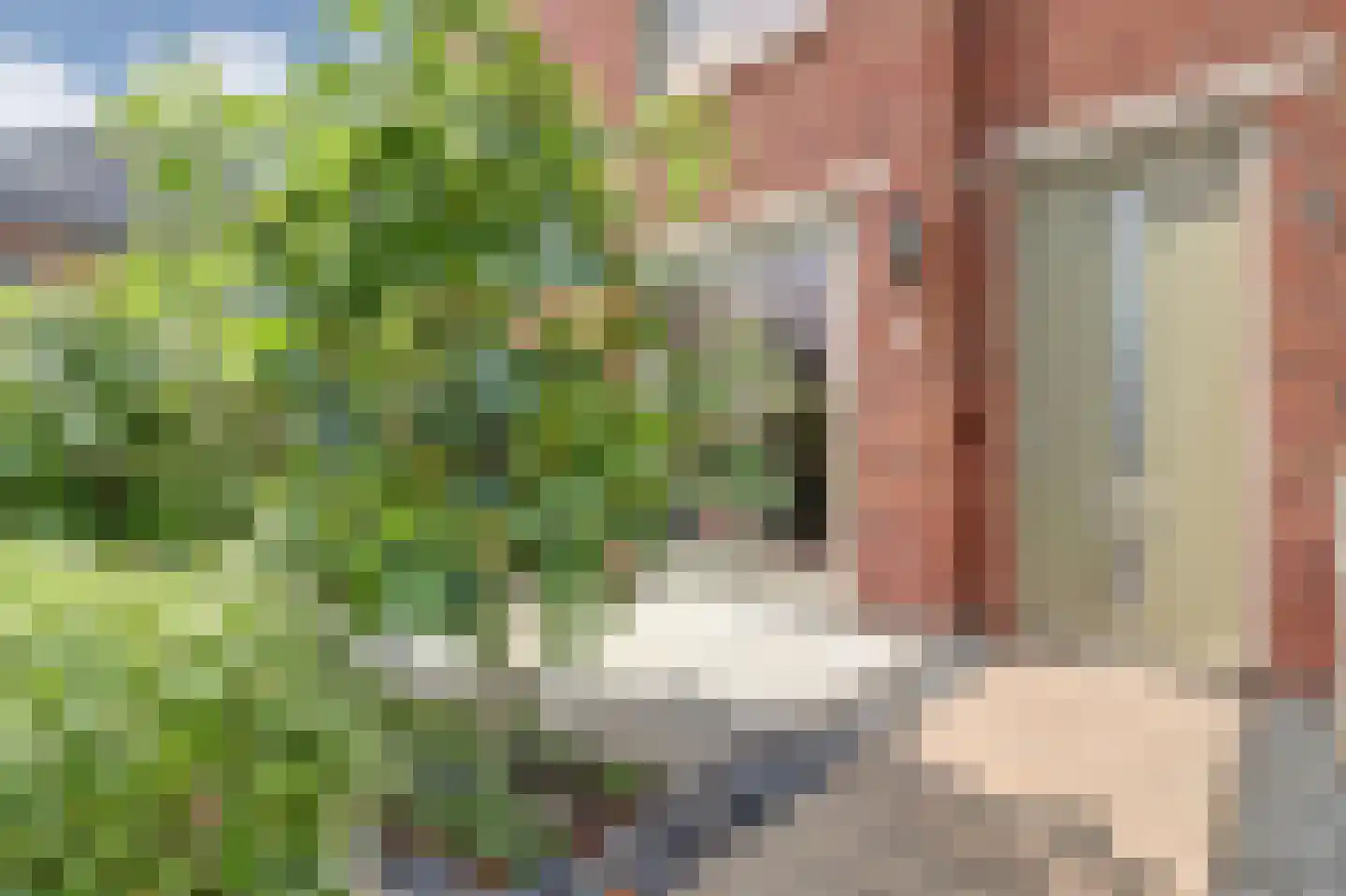 Polderlaan 181 Waddinxveen thumbnail 8
