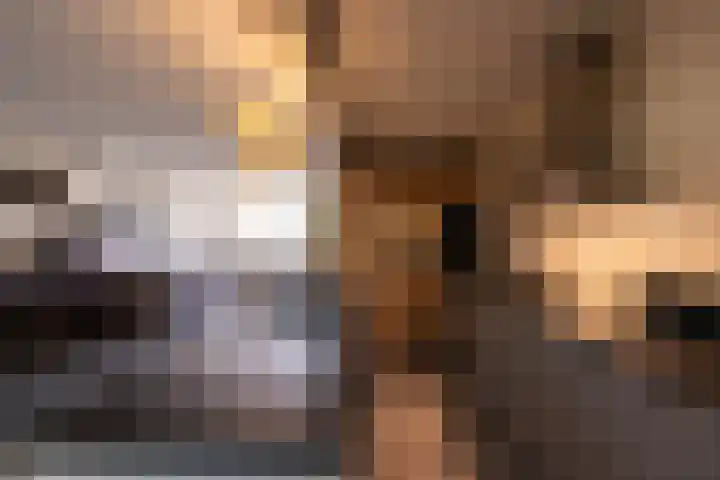Polderlaan 19 Geervliet thumbnail 10
