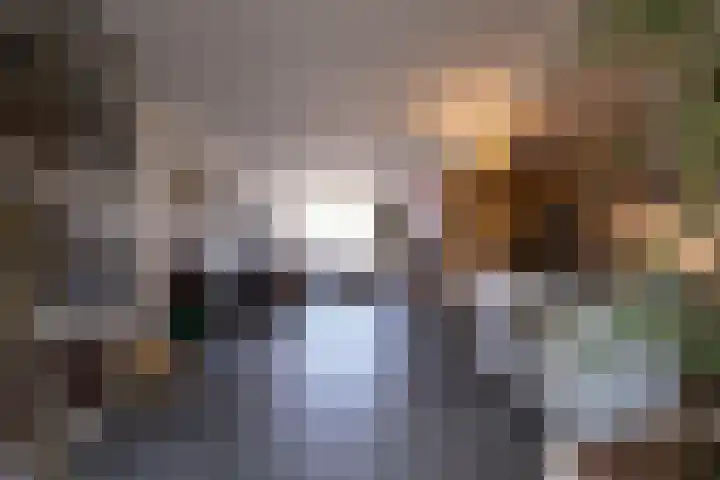Polderlaan 19 Geervliet thumbnail 11