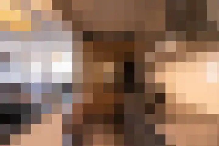 Polderlaan 19 Geervliet thumbnail 14