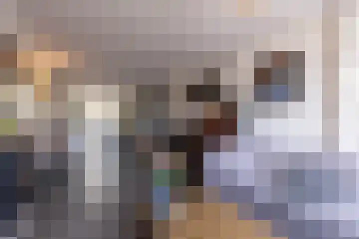 Polderlaan 19 Geervliet thumbnail 5