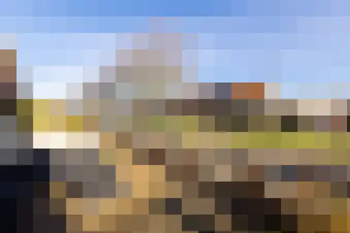 Polderlaan 19 Geervliet thumbnail 50