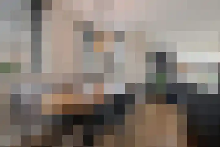 Polderlaan 191 Waddinxveen thumbnail 10