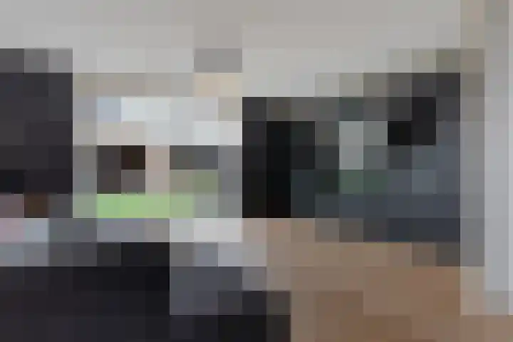 Polderlaan 191 Waddinxveen thumbnail 11