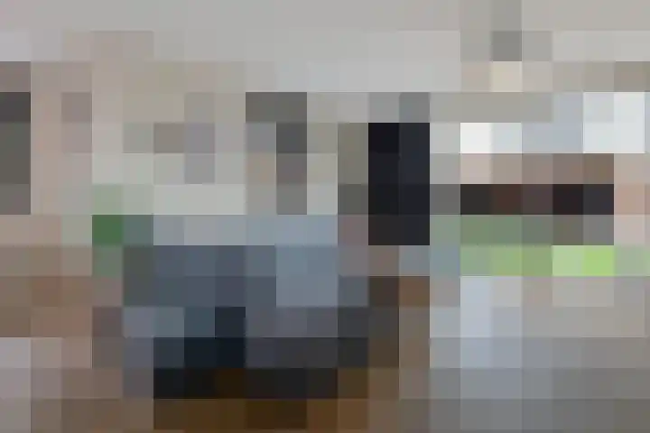 Polderlaan 191 Waddinxveen thumbnail 13