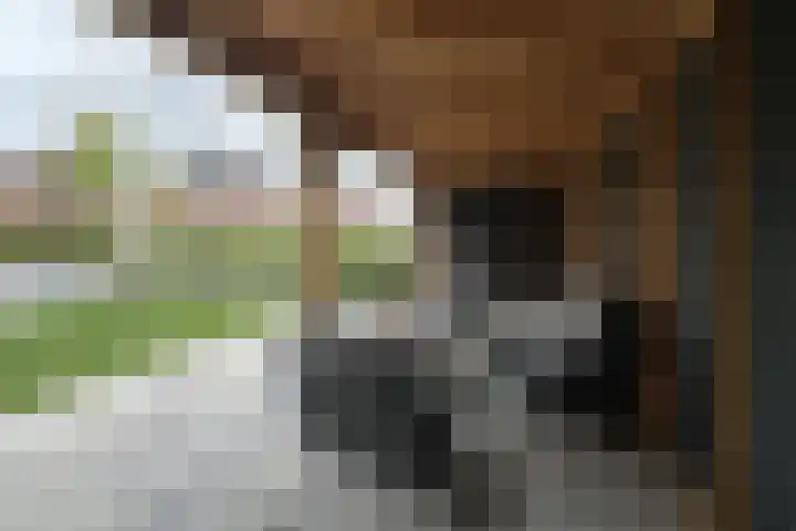 Polderlaan 191 Waddinxveen thumbnail 36
