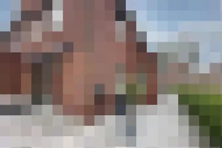 Polderlaan 191 Waddinxveen thumbnail 38