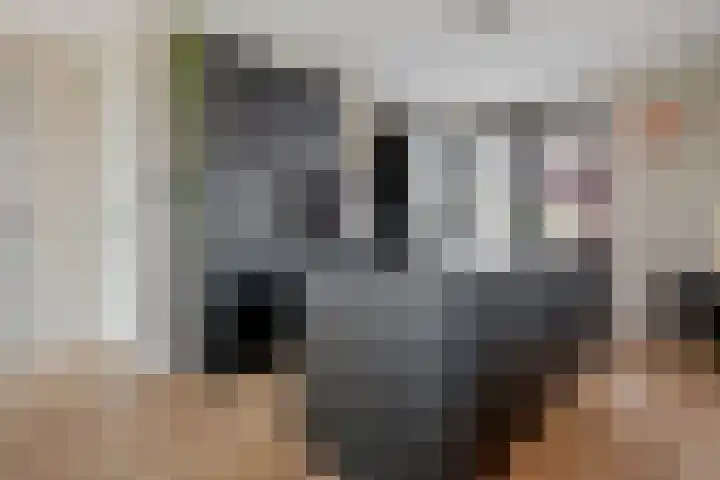 Polderlaan 191 Waddinxveen thumbnail 8