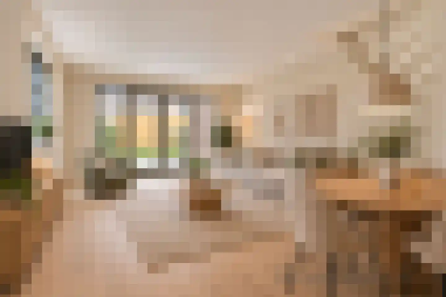Polderlaan 239 Waddinxveen thumbnail 7