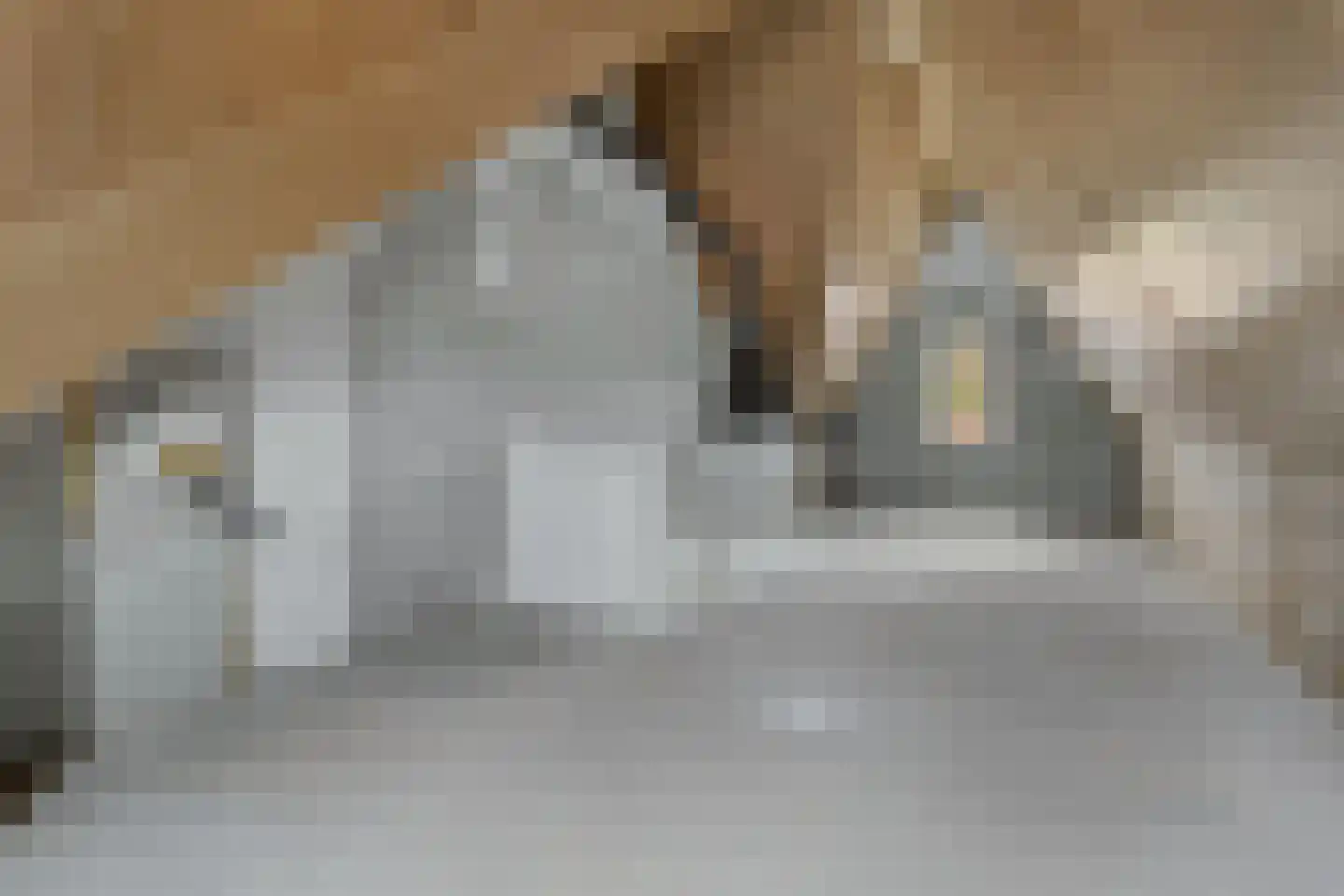 Polderlaan 239 Waddinxveen thumbnail 8