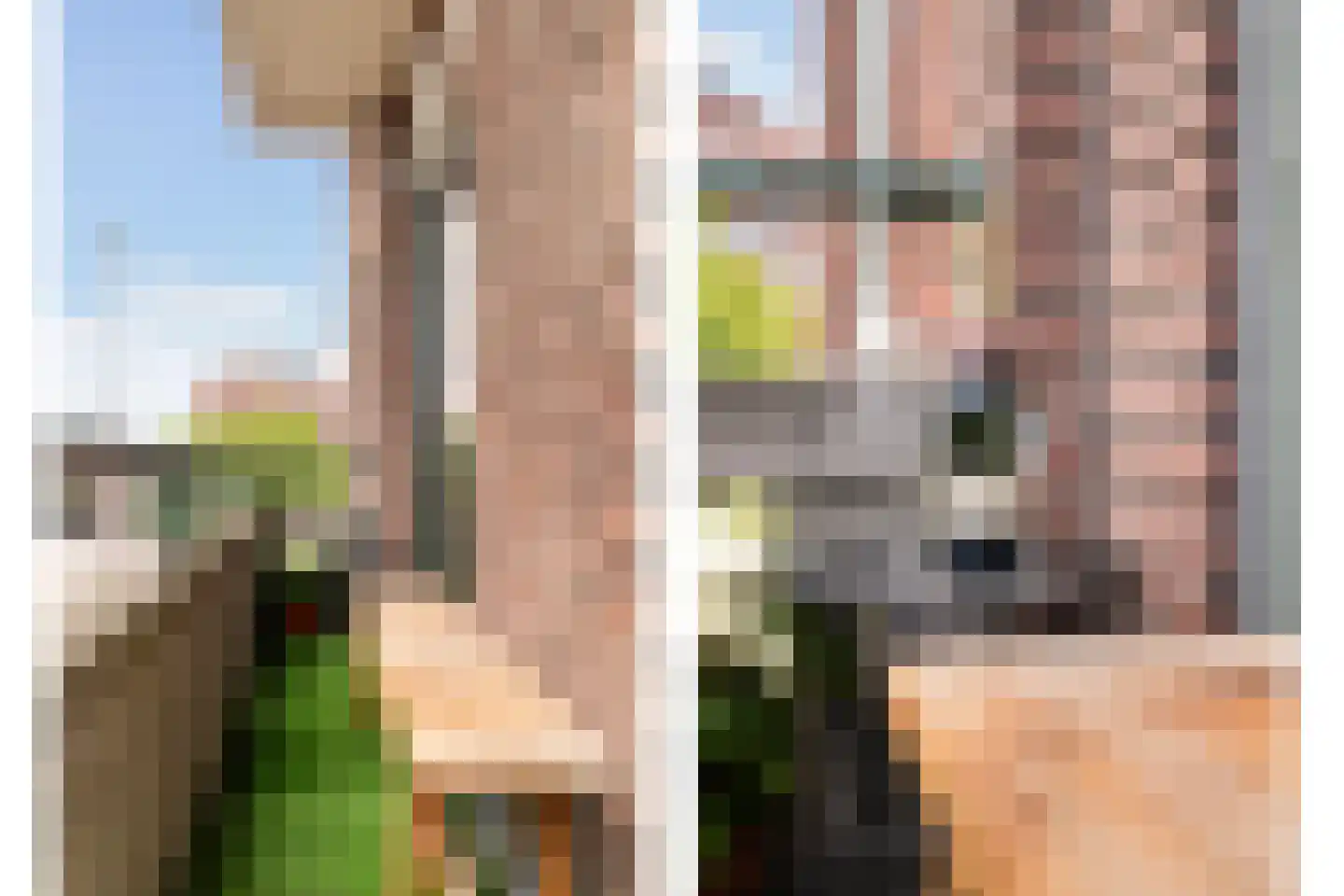 Polderlaan 3 A 02 Rotterdam thumbnail 18