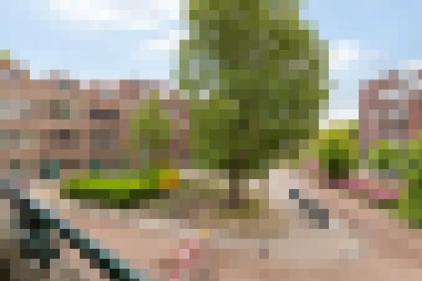 Polderlaan 3 A 02 Rotterdam thumbnail 19