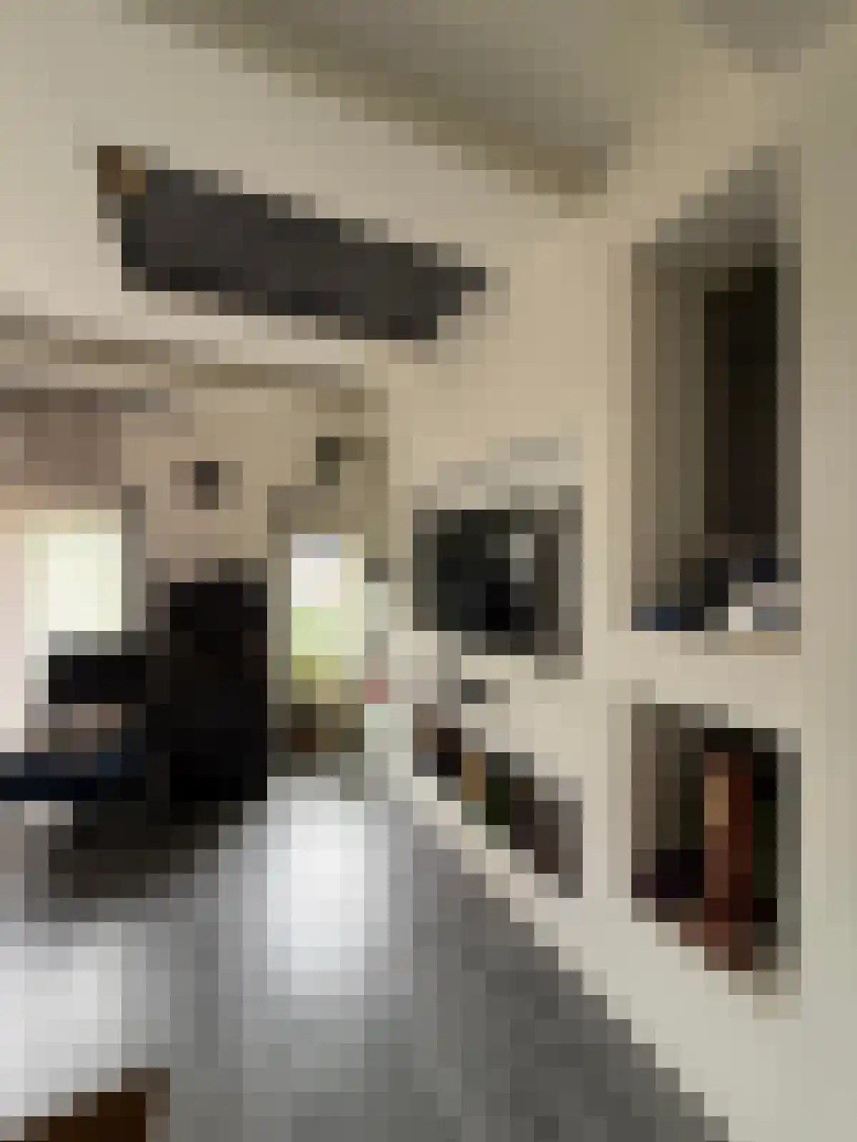 Polderlaan 3 Rotterdam thumbnail 4