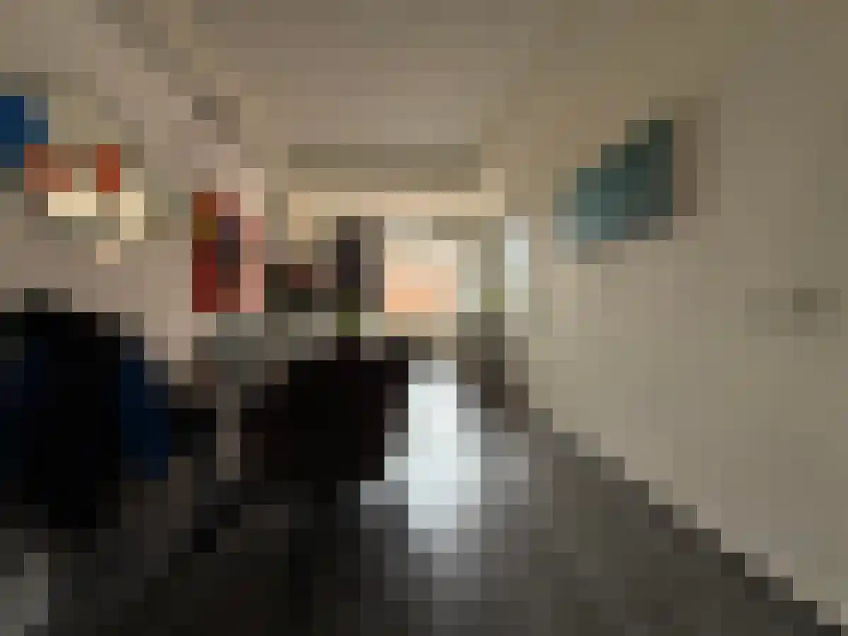 Polderlaan 3 Rotterdam thumbnail 5