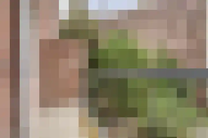 Polderlaan 30 B 02 Rotterdam thumbnail 8
