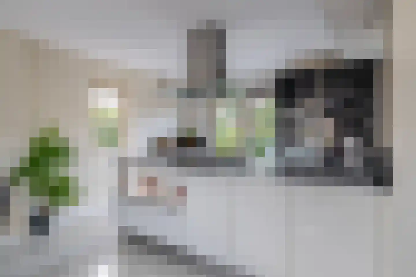 Polderlaan 31 Middelharnis thumbnail 11