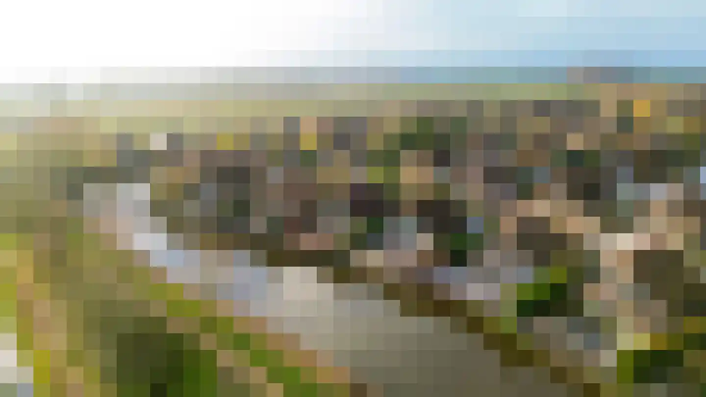 Polderlaan 31 Middelharnis thumbnail 29
