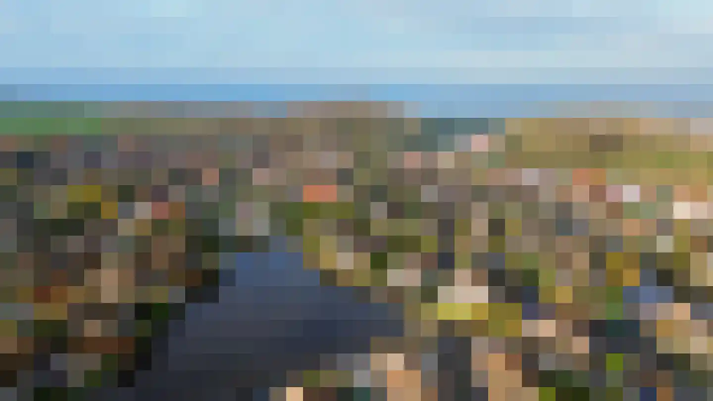 Polderlaan 31 Middelharnis thumbnail 30