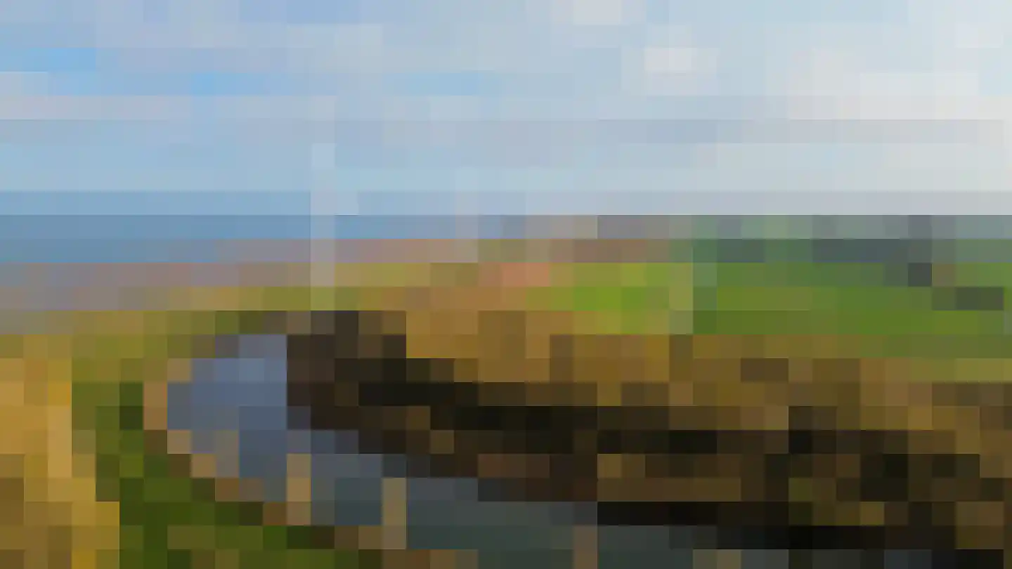 Polderlaan 31 Middelharnis thumbnail 34