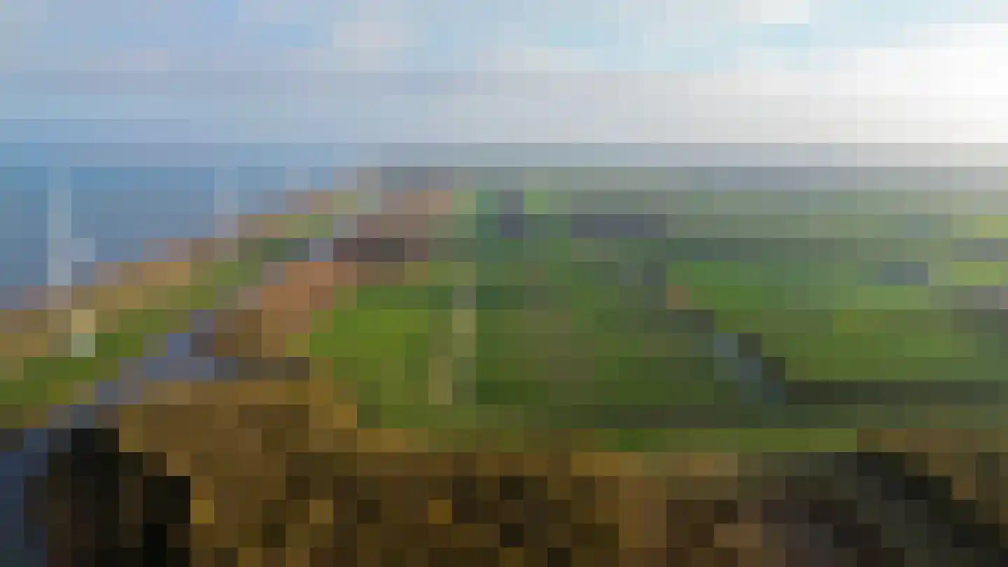 Polderlaan 31 Middelharnis thumbnail 35