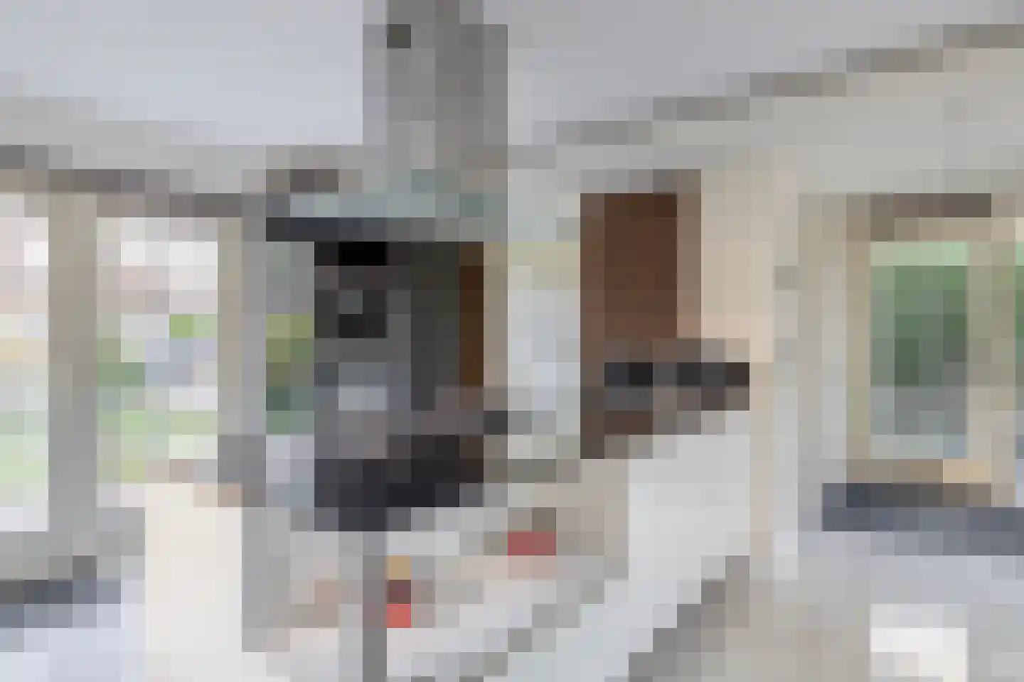 Polderlaan 31 Middelharnis thumbnail 4