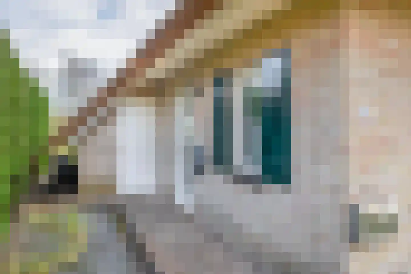 Polderlaan 31 Middelharnis thumbnail 5