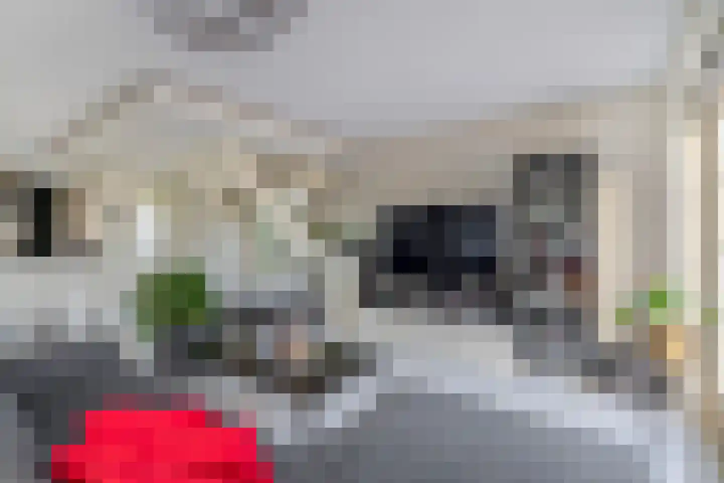 Polderlaan 31 Middelharnis thumbnail 9