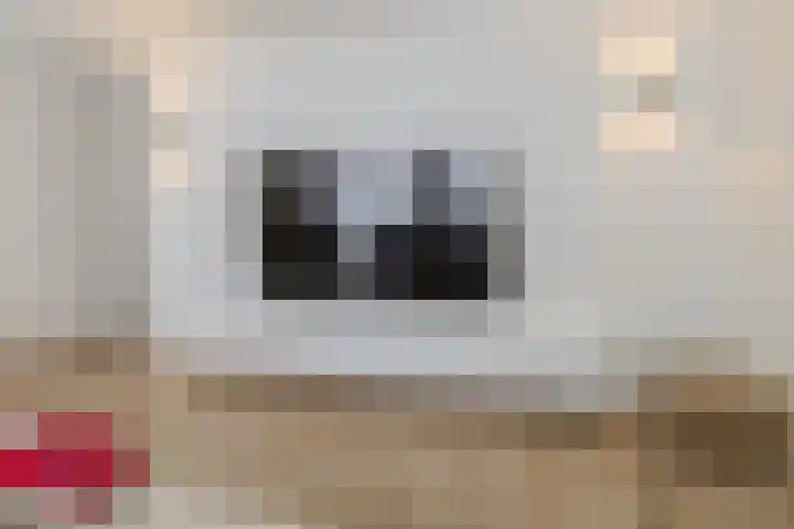 Polderlaan 4 F Rotterdam thumbnail 10