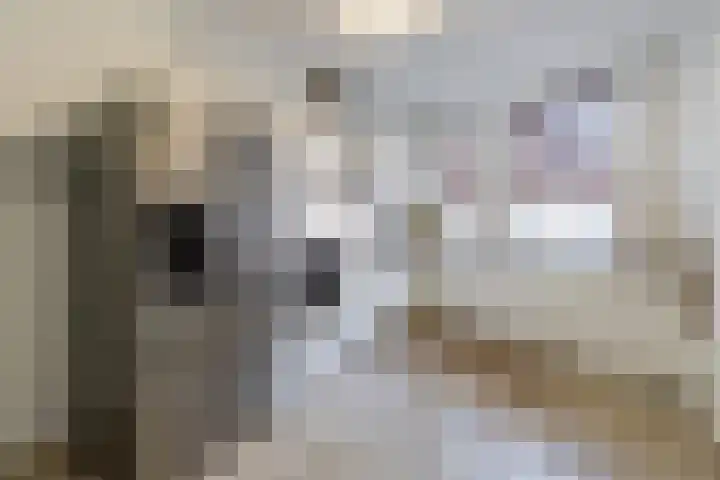 Polderlaan 4 F Rotterdam thumbnail 12