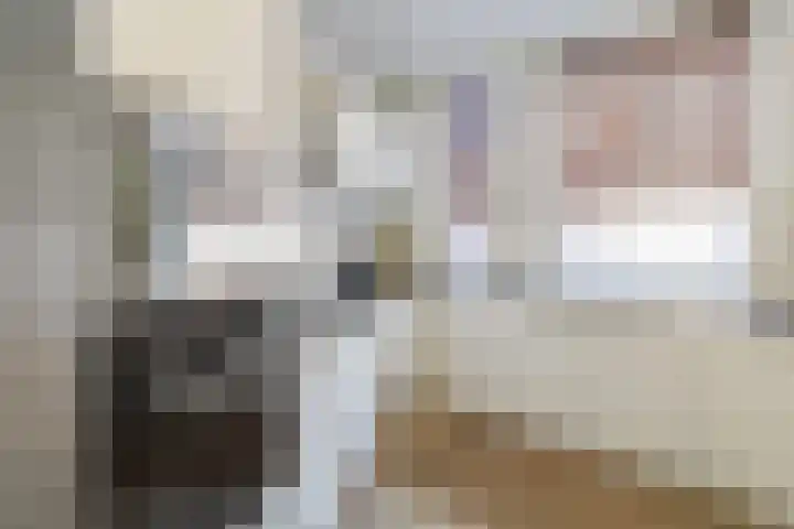 Polderlaan 4 F Rotterdam thumbnail 13