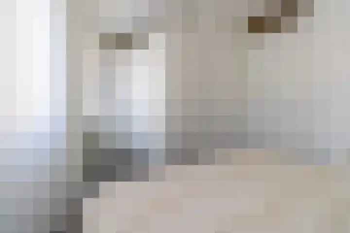 Polderlaan 4 F Rotterdam thumbnail 21