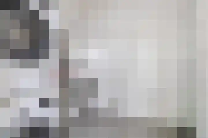Polderlaan 4 F Rotterdam thumbnail 22