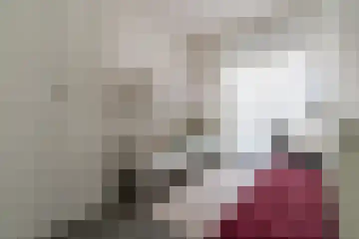 Polderlaan 4 F Rotterdam thumbnail 29