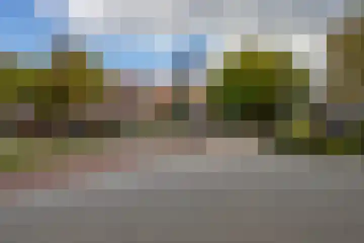 Polderlaan 4 F Rotterdam thumbnail 40