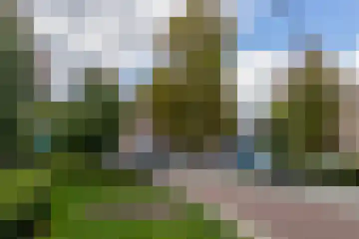 Polderlaan 4 F Rotterdam thumbnail 41