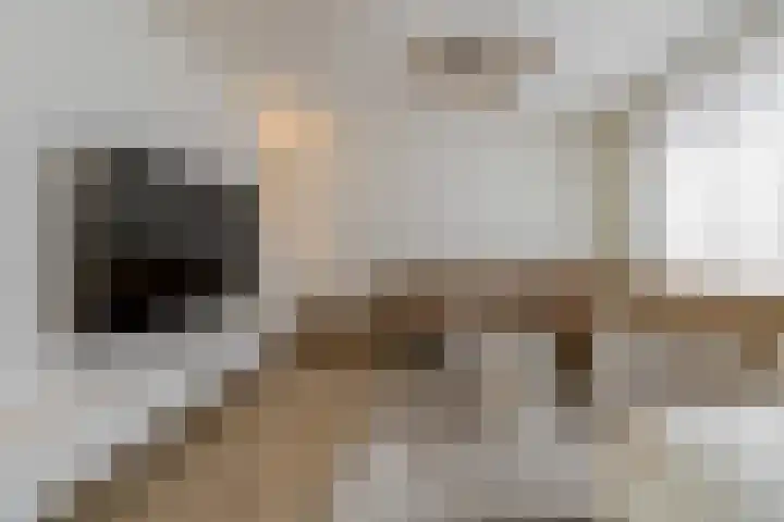 Polderlaan 4 F Rotterdam thumbnail 9