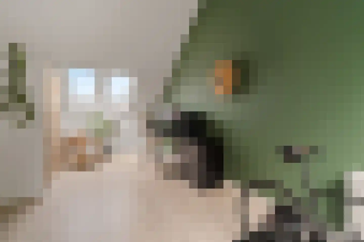 Polderlaan 43 Waddinxveen thumbnail 31