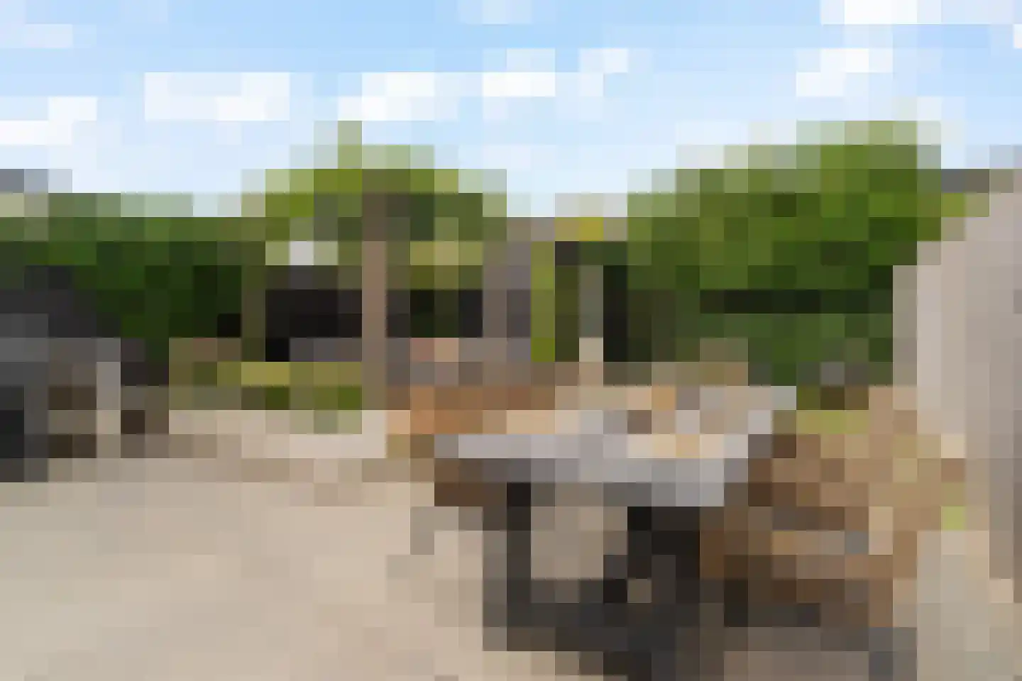 Polderlaan 43 Waddinxveen thumbnail 36