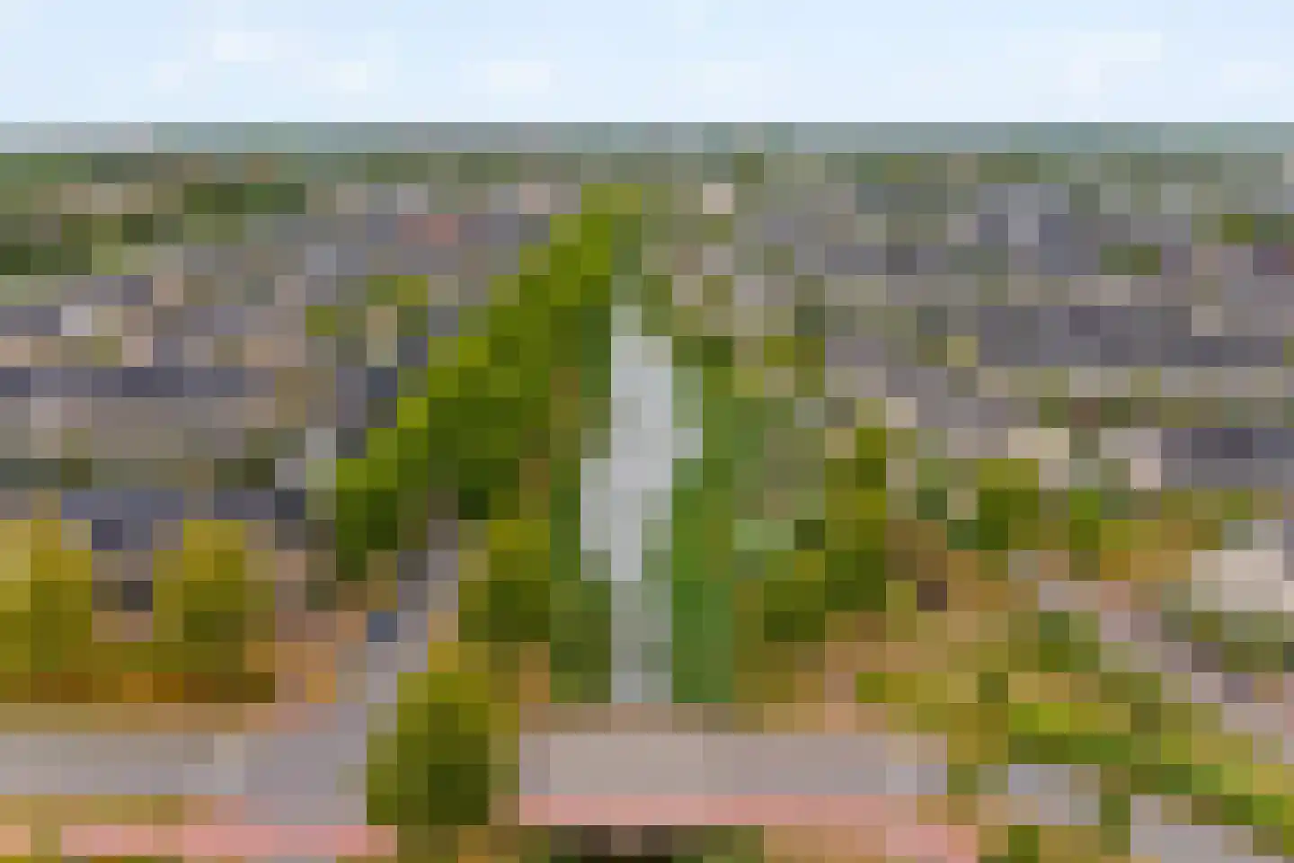 Polderlaan 43 Waddinxveen thumbnail 40