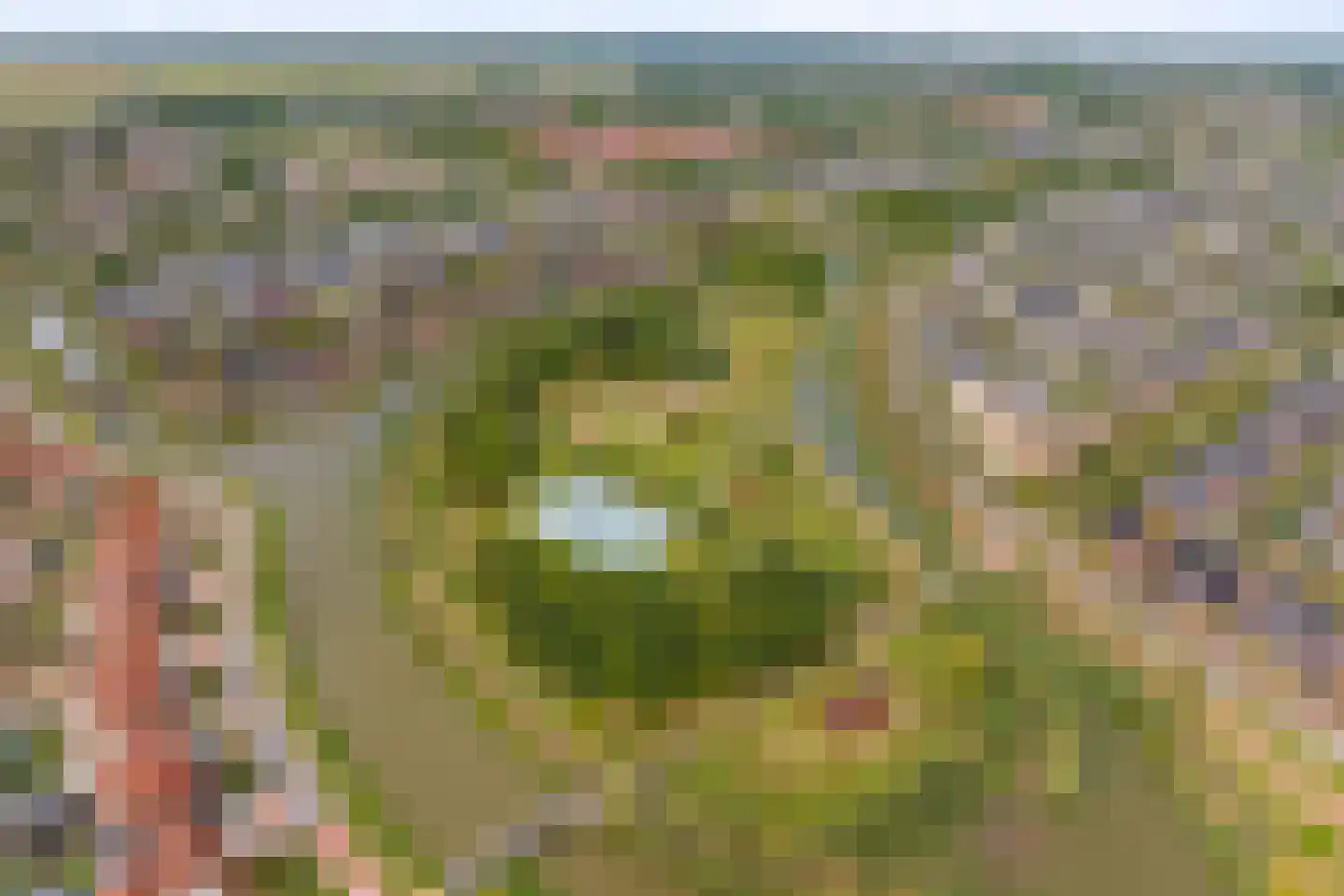 Polderlaan 43 Waddinxveen thumbnail 41