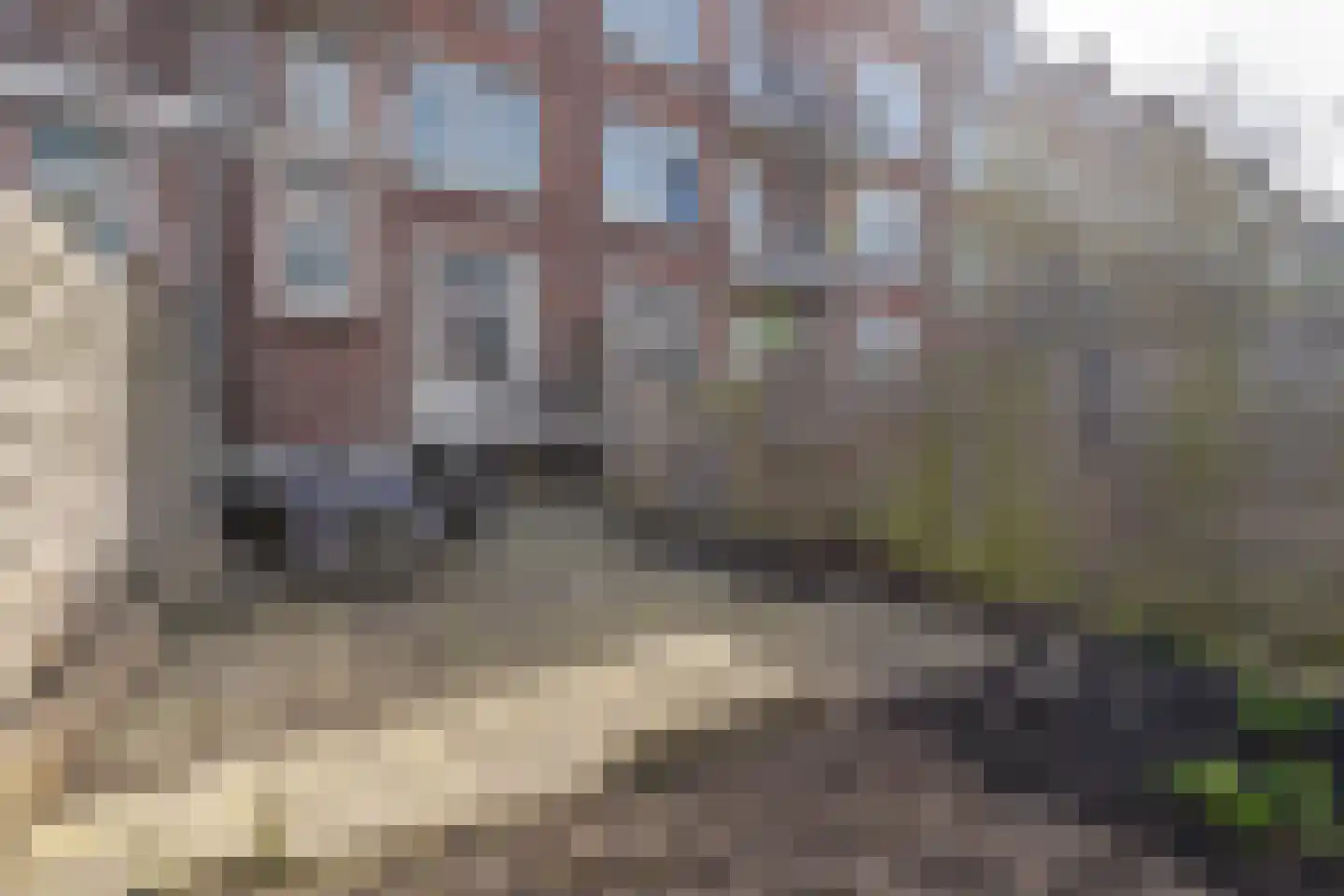 Polderlaan 45 B Rotterdam thumbnail 23